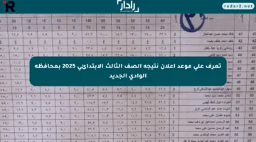 تعرف على موعد إعلان نتيجة الصف الثالث الابتدائي 2025 بمحافظة الوادي الجديد